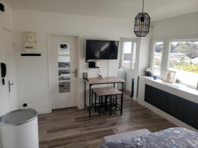 Jolie grand studio avec vue sur les vosges, balcon